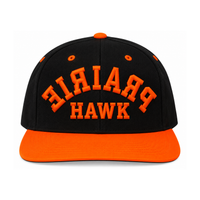 PRAIRIE HAWK HAT