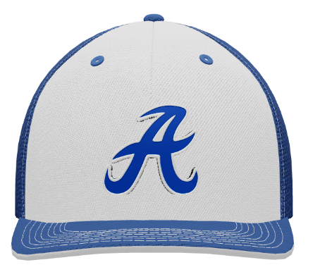 AB2030 Baseball Hat 2024